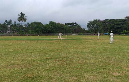 Cricket - Natural Turf Grounds